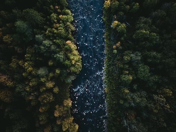 Macmillan《In the Loop》麦克米伦中学创新英语教材