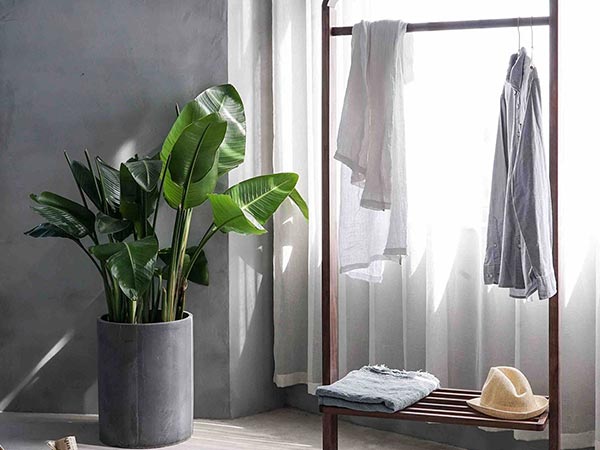 Macmillan《Share It!》 麦克米伦7级别小学英语教材